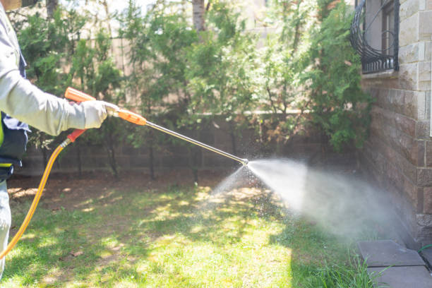 Professional Pest Control in Walnut Hill, TN